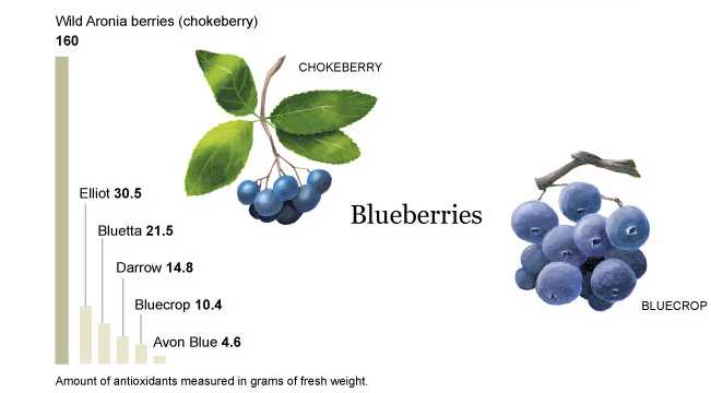 Why (Unfortunately) You Need To Take Your Vitamins picta